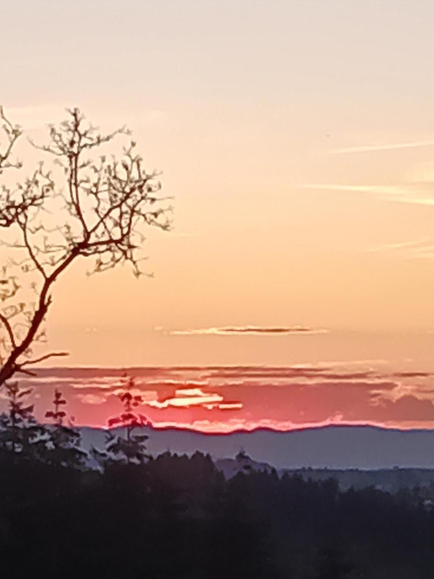 Le P'Tit Fermier Villa Cunlhat Bagian luar foto