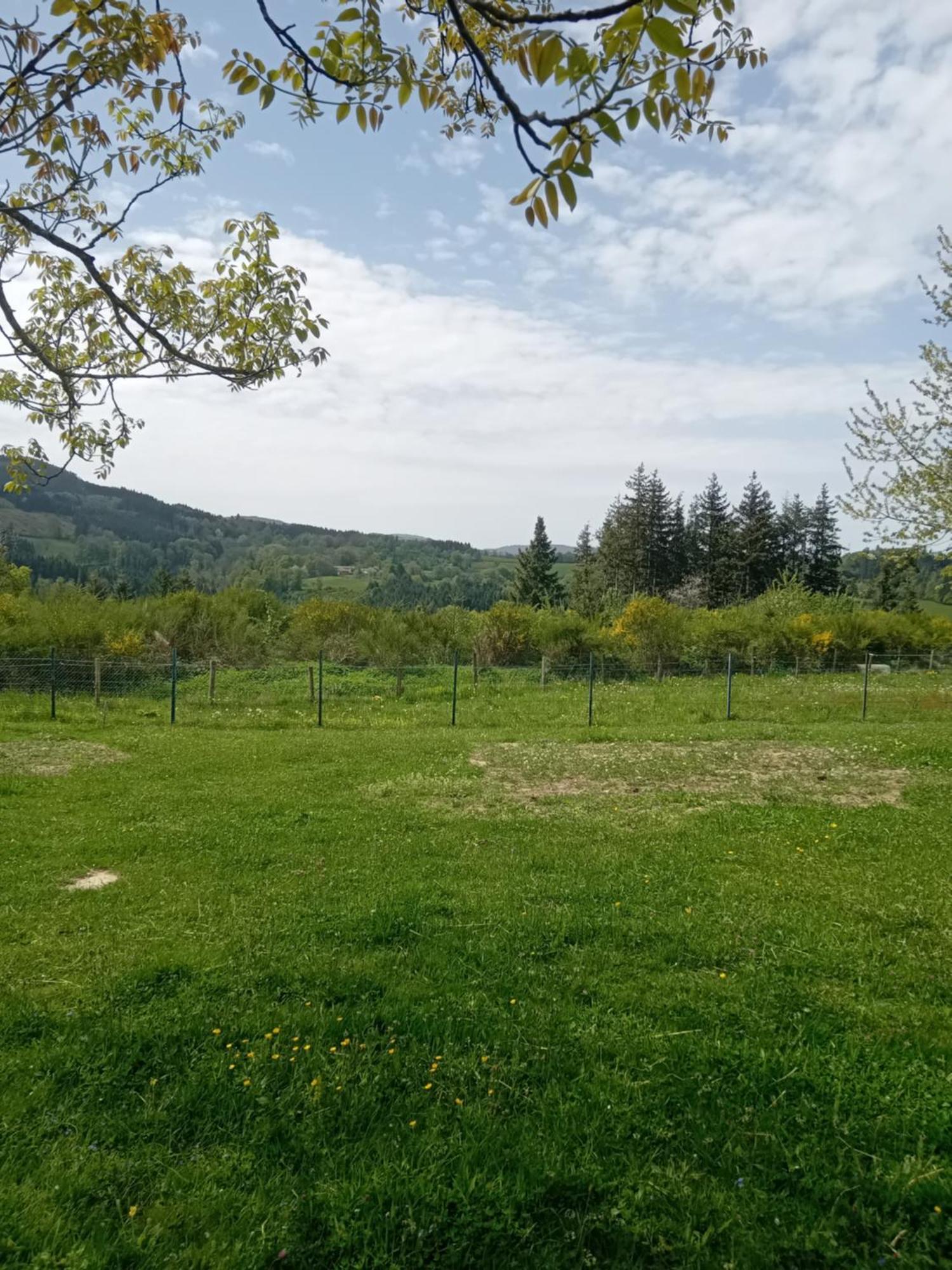 Le P'Tit Fermier Villa Cunlhat Bagian luar foto
